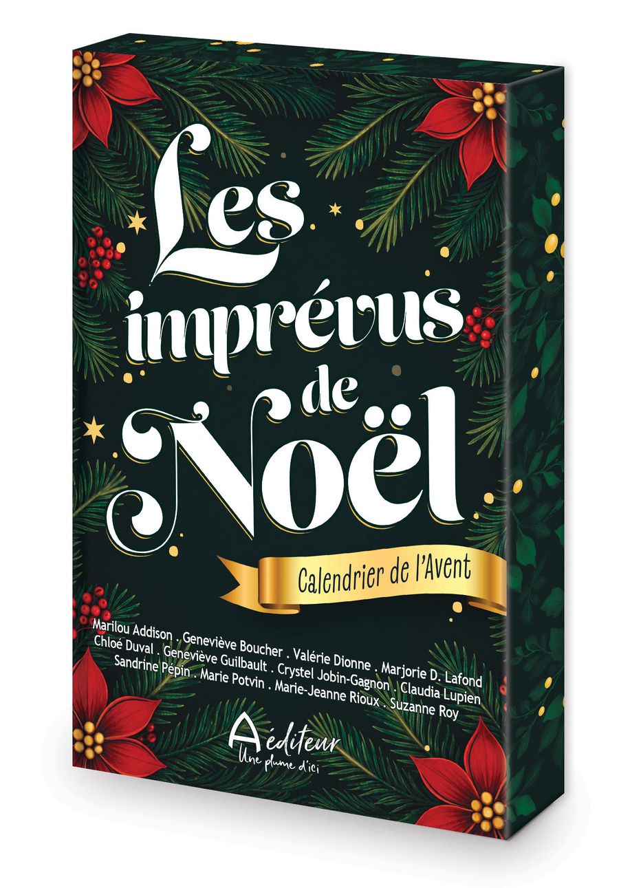 Les imprévus de Noël